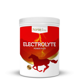 Electrolyte Power Plus 1500g