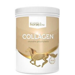 Kolagen 800g dla koni