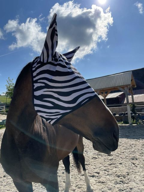 Maska z uszami Zebra Maska z uszami Zebra